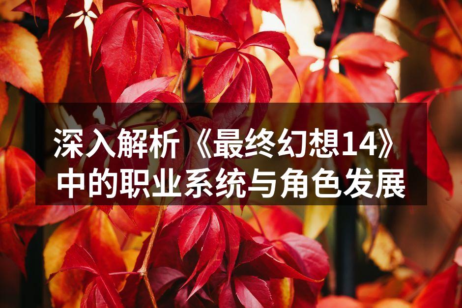深入解析《最终幻想14》中的职业系统与角